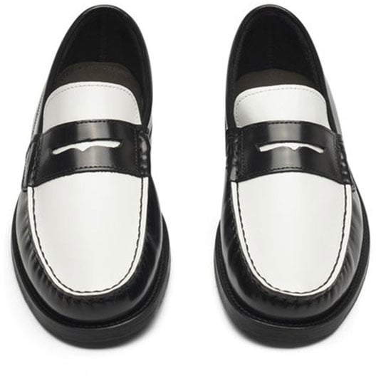 Les Deux mocassins willard Zwart