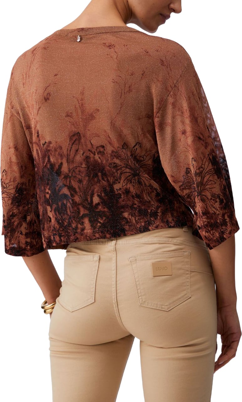 Liu Jo Sweaters Marrone Beige