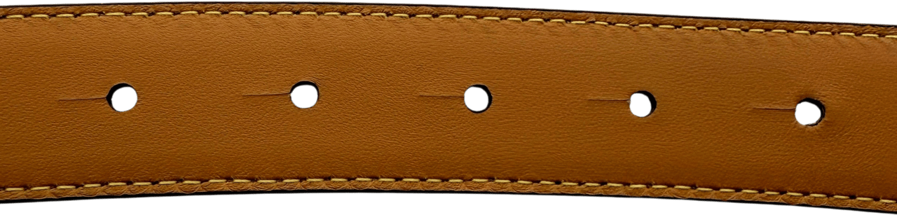 Loewe Loewe Anagram Gürtel Größe 100 Braun / sehr gut Bruin