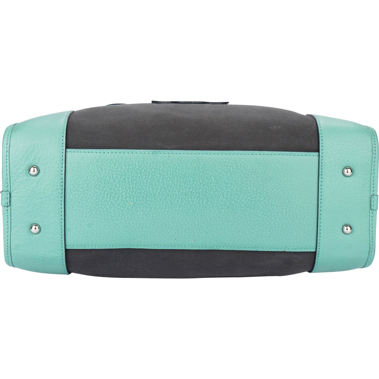 Loewe Loewe Bicolor Amazona Handbag Divers