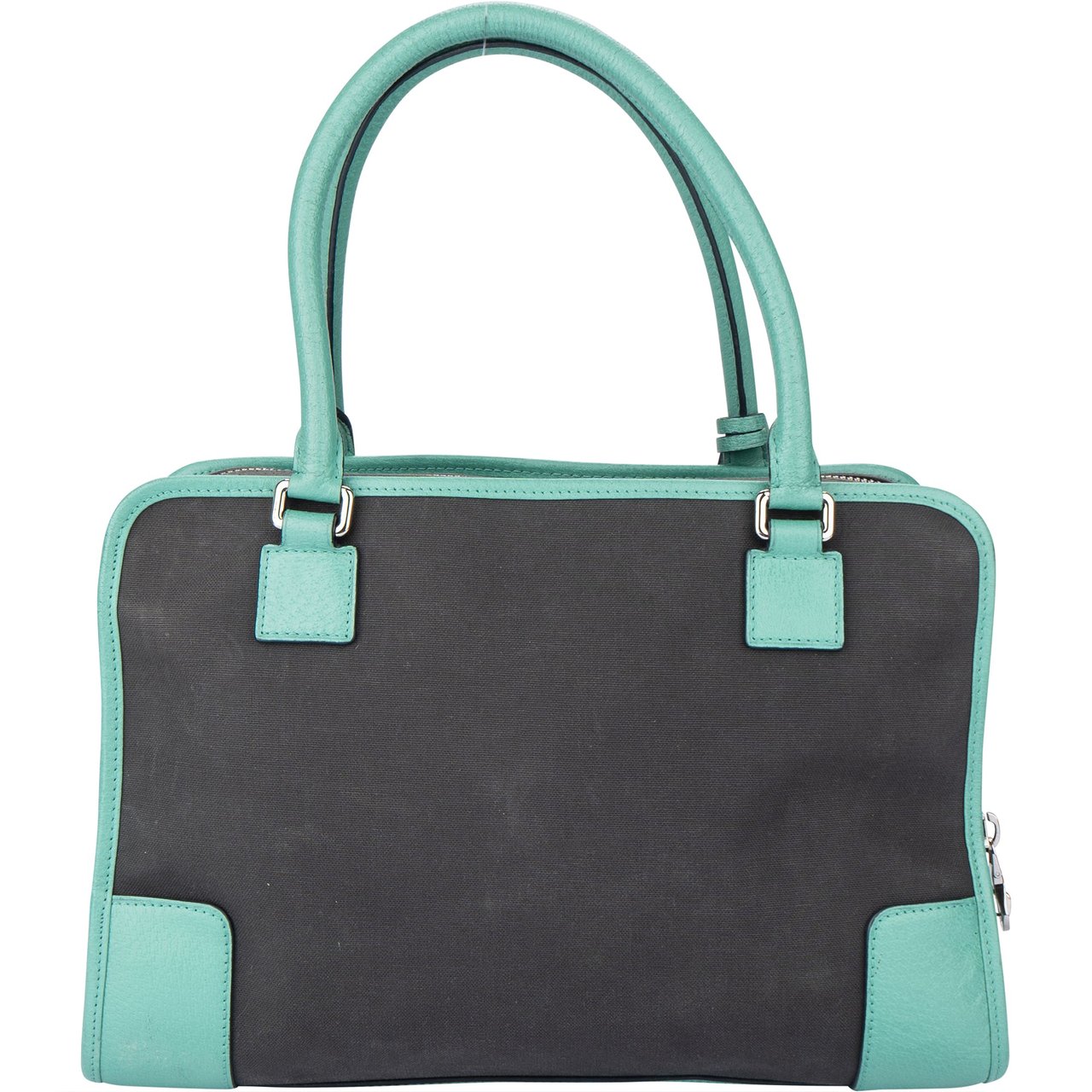 Loewe Loewe Bicolor Amazona Handbag Divers