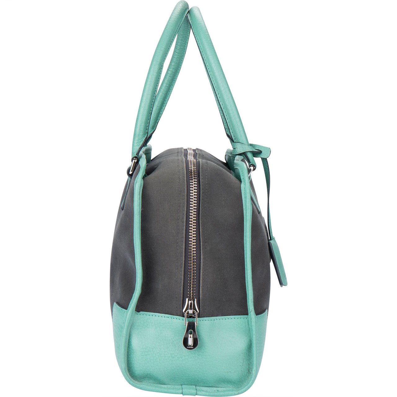 Loewe Loewe Bicolor Amazona Handbag Divers
