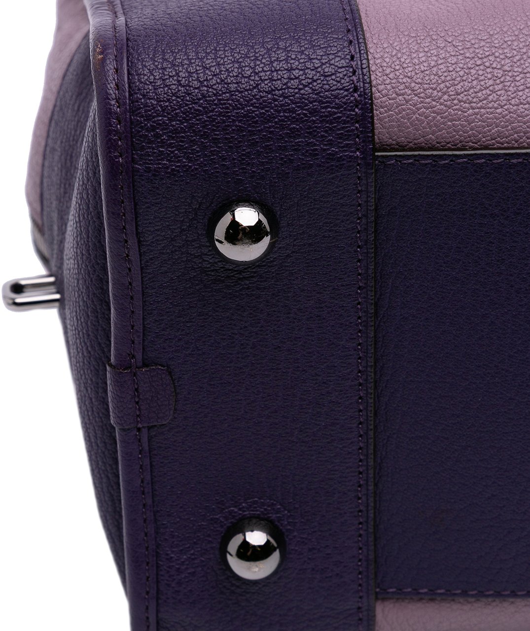 Loewe Tricolor Goatskin Amazona 36 Paars