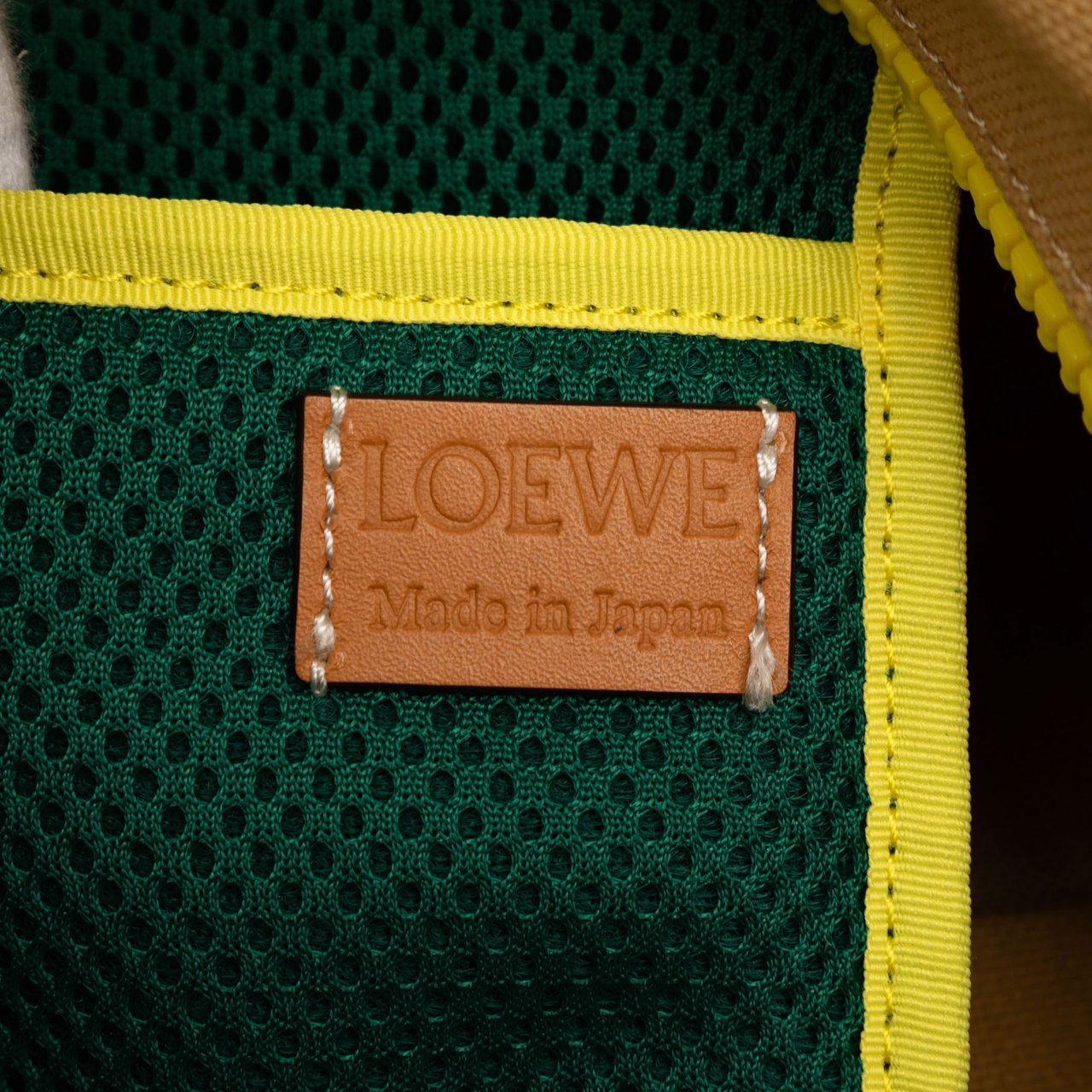 Loewe Canvas Eye Nature Tote Bruin