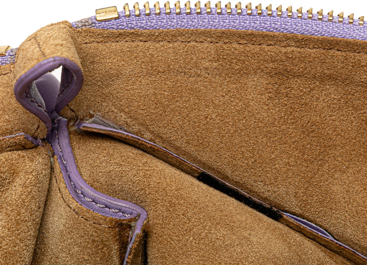 Loewe Small Shiny Calfskin Paseo Satchel Paars