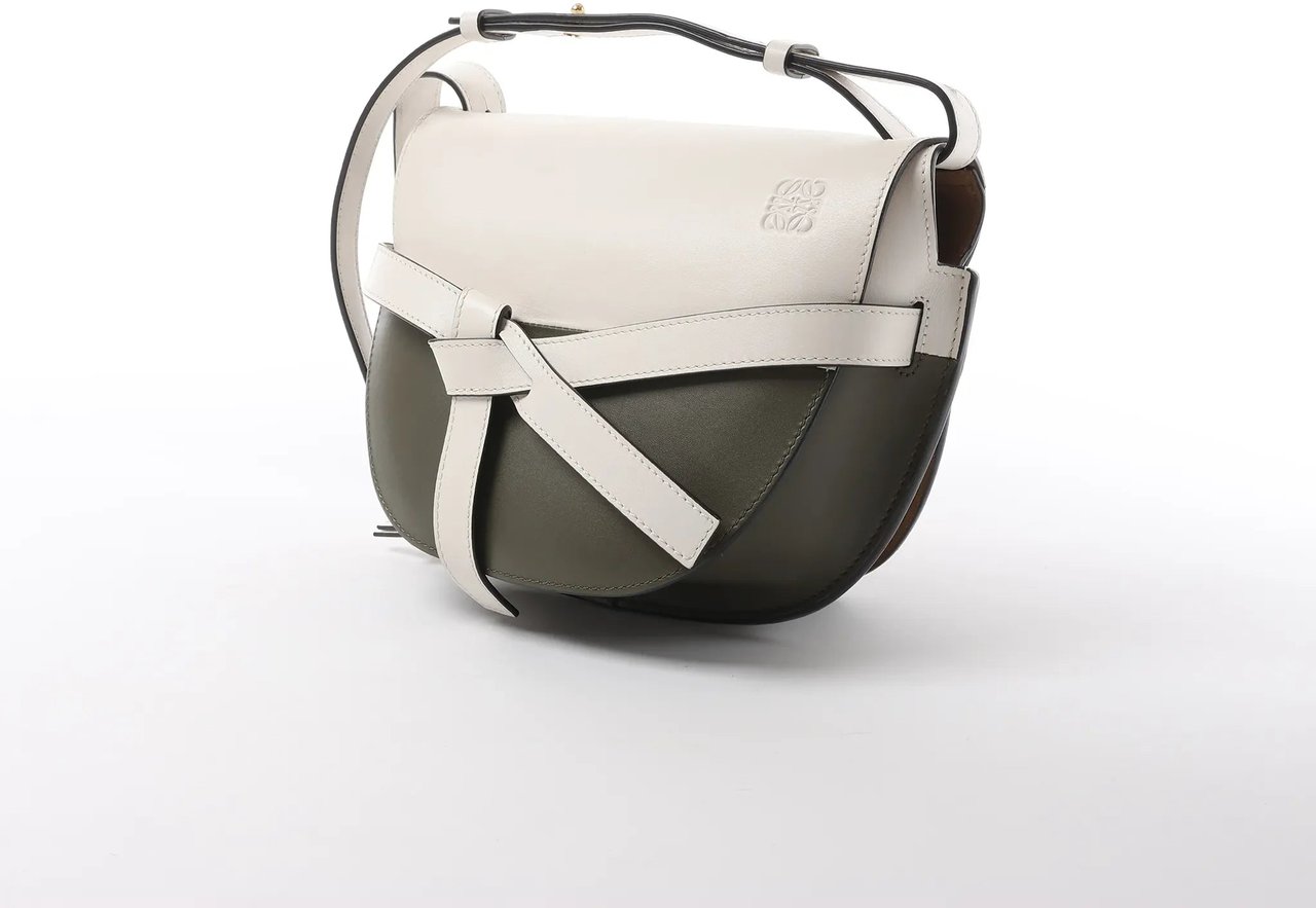 LOEWE Gate Small Crossbody Bag in White x Green Divers
