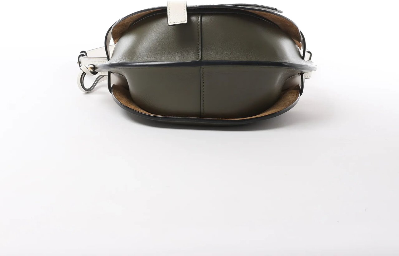 LOEWE Gate Small Crossbody Bag in White x Green Divers
