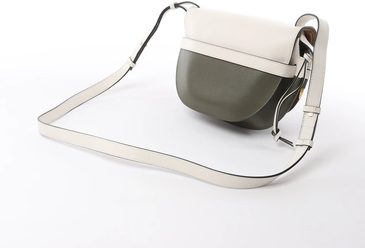 LOEWE Gate Small Crossbody Bag in White x Green Divers