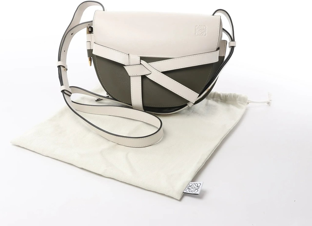 LOEWE Gate Small Crossbody Bag in White x Green Divers