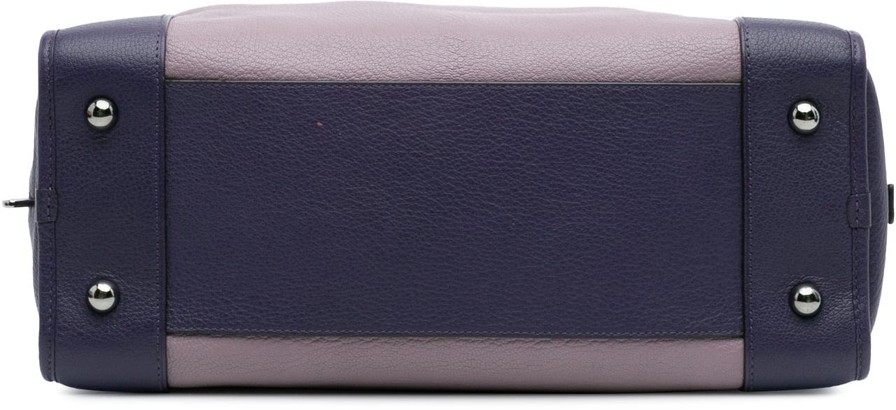Loewe Tricolor Goatskin Amazona 36 Paars