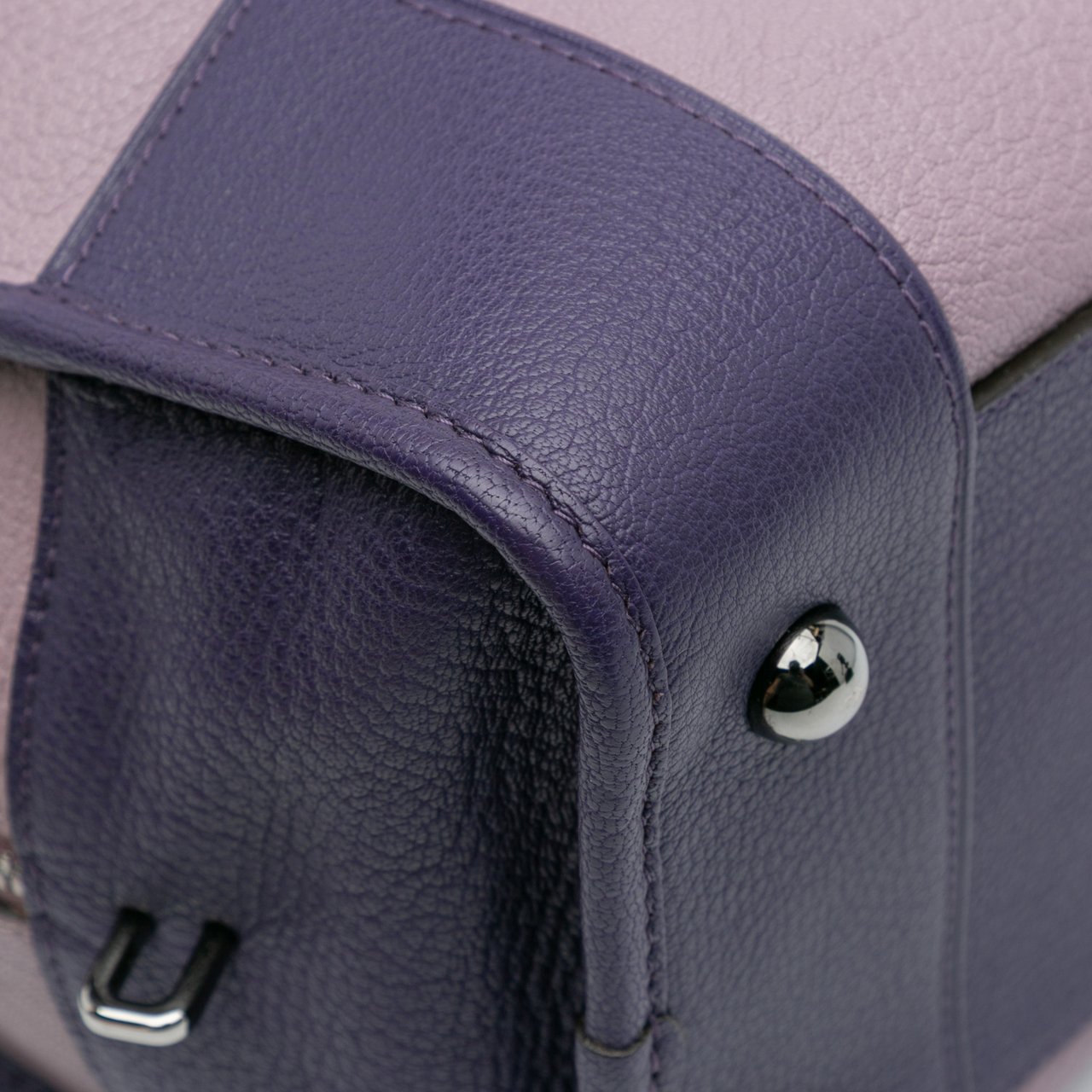 Loewe Tricolor Goatskin Amazona 36 Paars