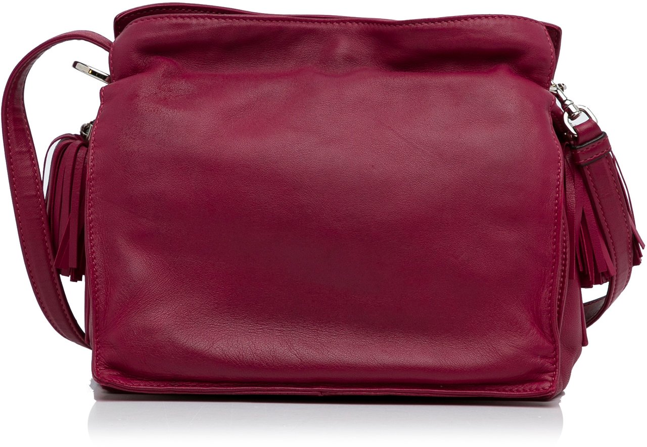 Loewe Small Leather Flamenco Crossbody Bag Roze