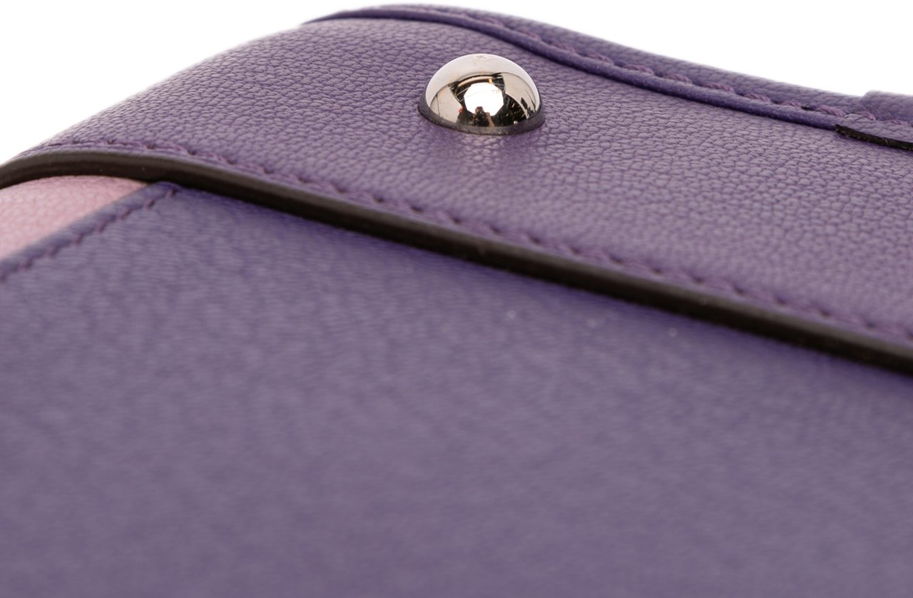 Loewe Tricolor Goatskin Amazona 28 Paars