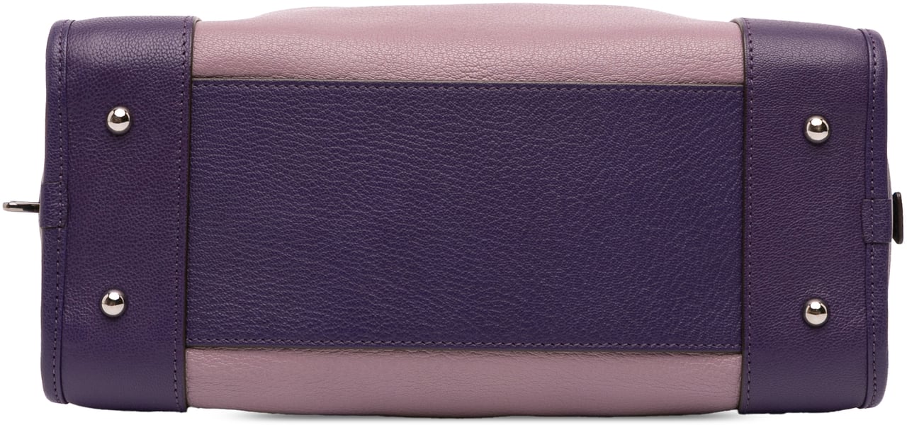 Loewe Tricolor Goatskin Amazona 28 Paars