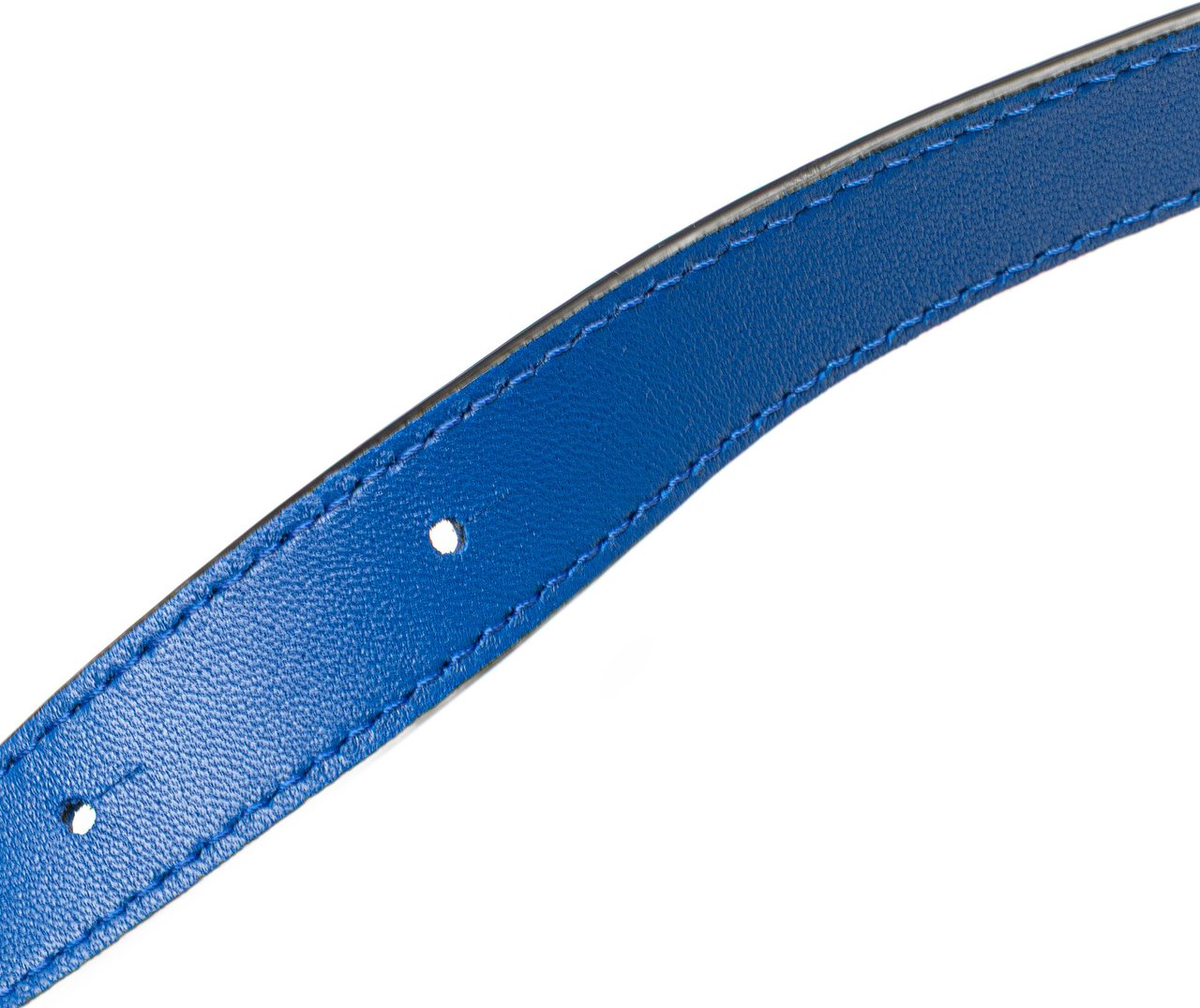 Loewe Small Satin Flamenco Knot Blauw