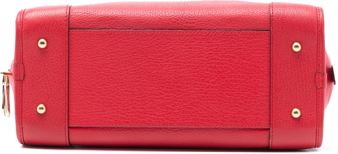 Loewe Goatskin Amazona 28 Rood