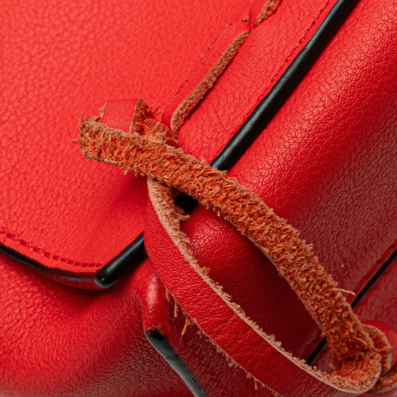 Loewe Leather Flamenco Knot Whipstitch Crossbody Rood