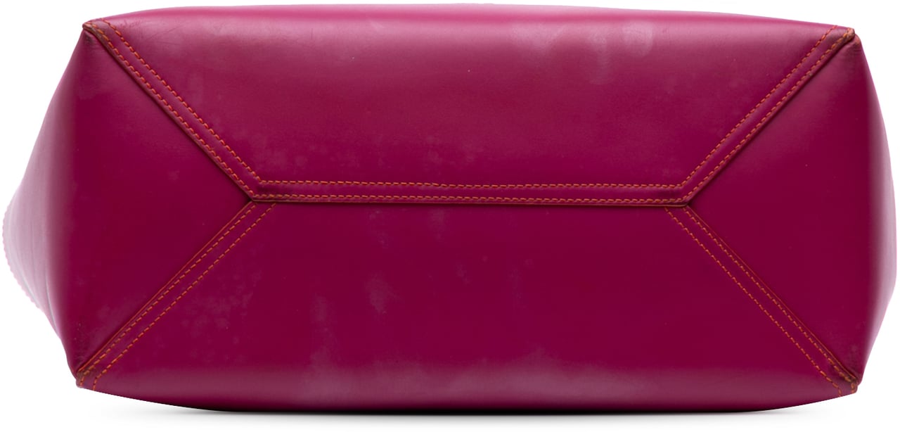 Loewe Anagram Leather Leo Tote Roze