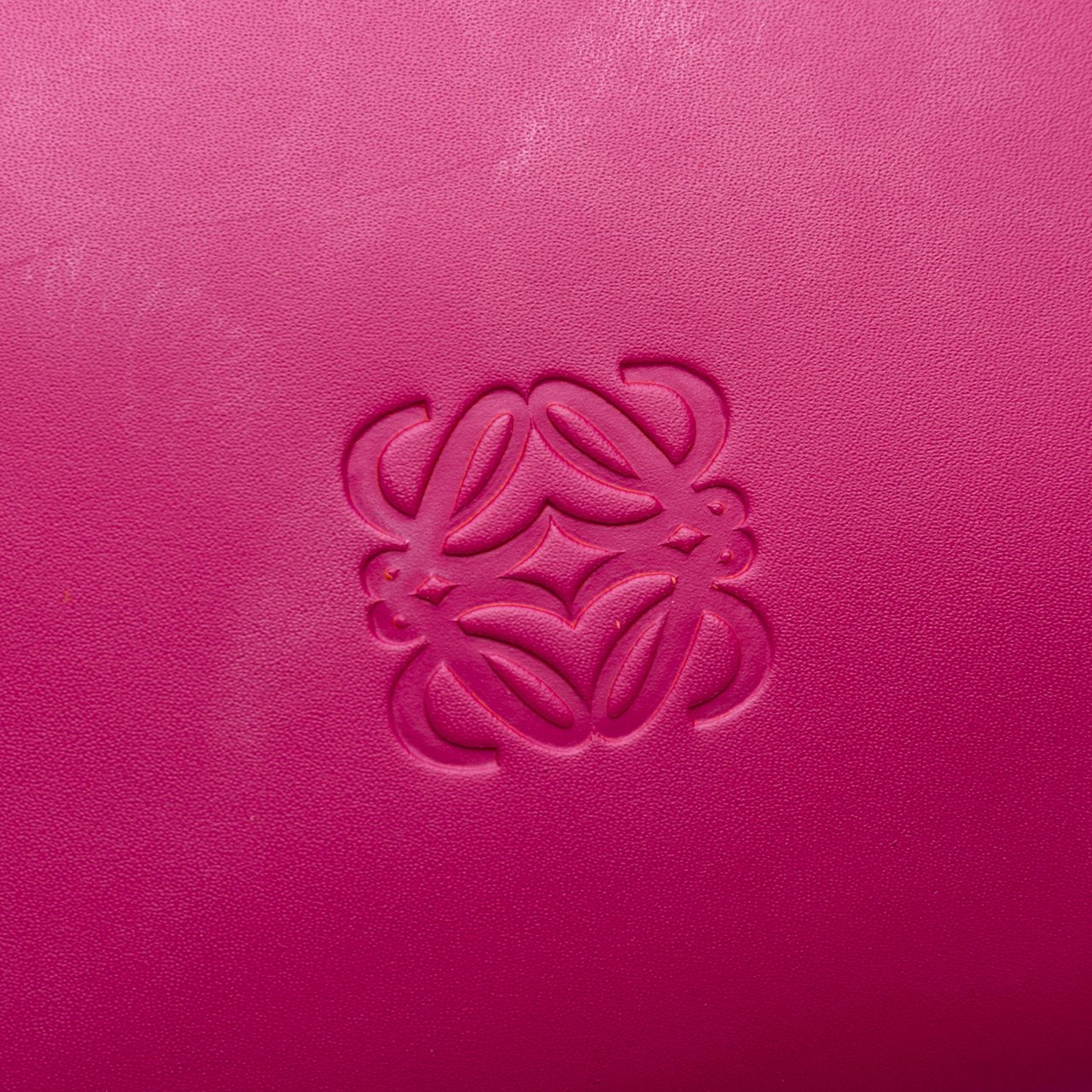 Loewe Anagram Leather Leo Tote Roze