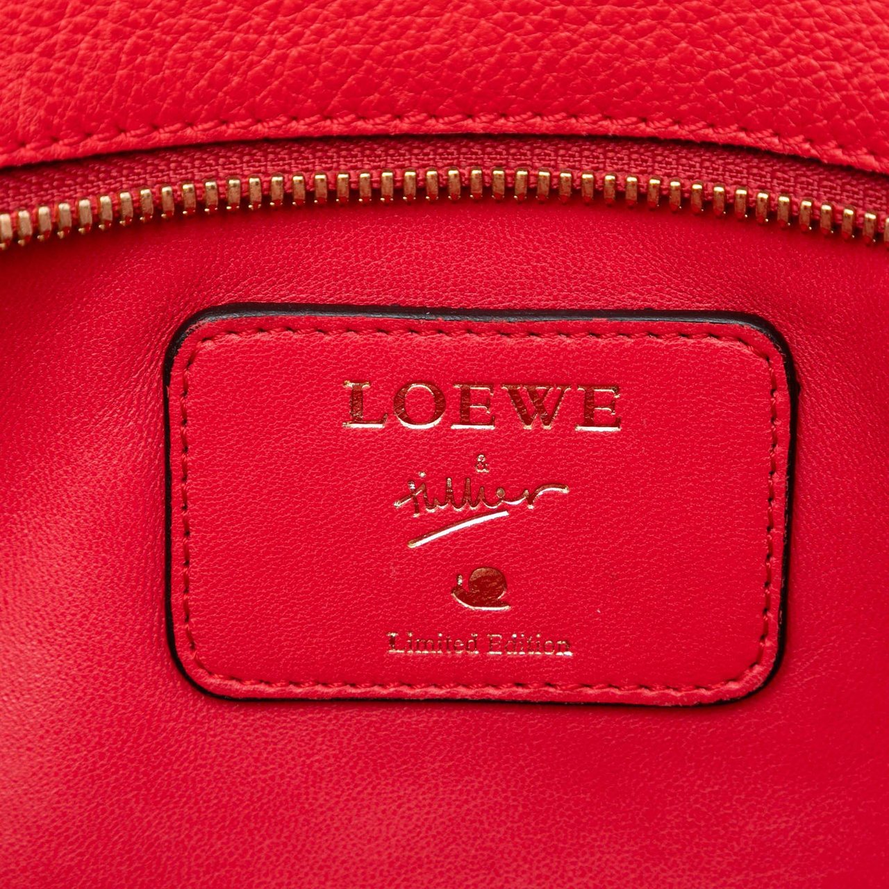 Loewe Limited Edition Goatskin Amazona 28 Rood