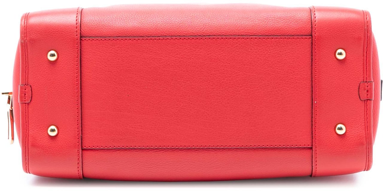 Loewe Limited Edition Goatskin Amazona 28 Rood