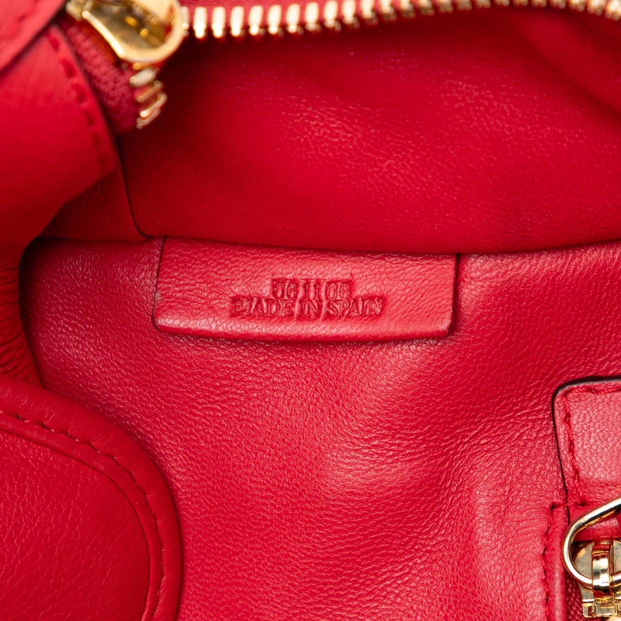 Loewe Limited Edition Goatskin Amazona 28 Rood