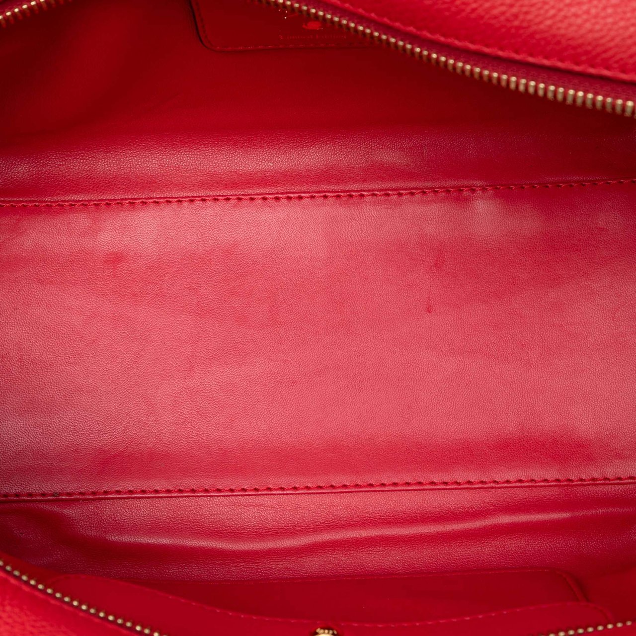 Loewe Limited Edition Goatskin Amazona 28 Rood