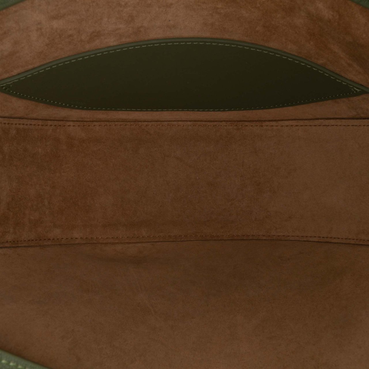 Loewe Small Leather Luna Hobo Groen