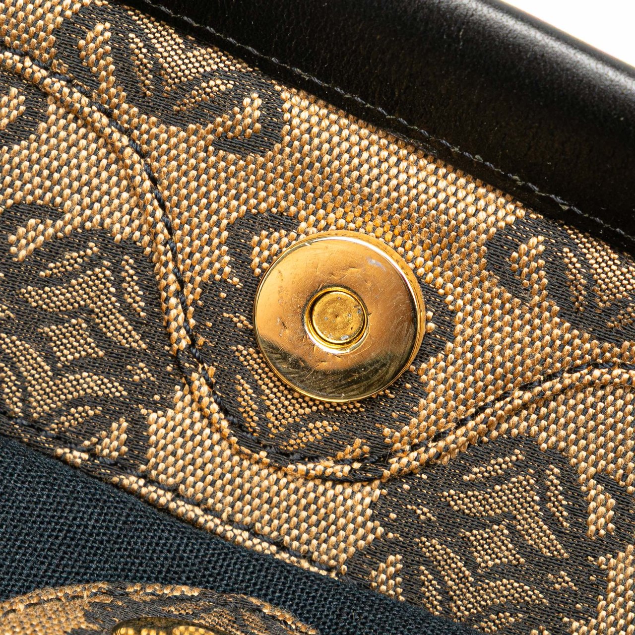 Loewe Anagram Canvas Tote Bruin