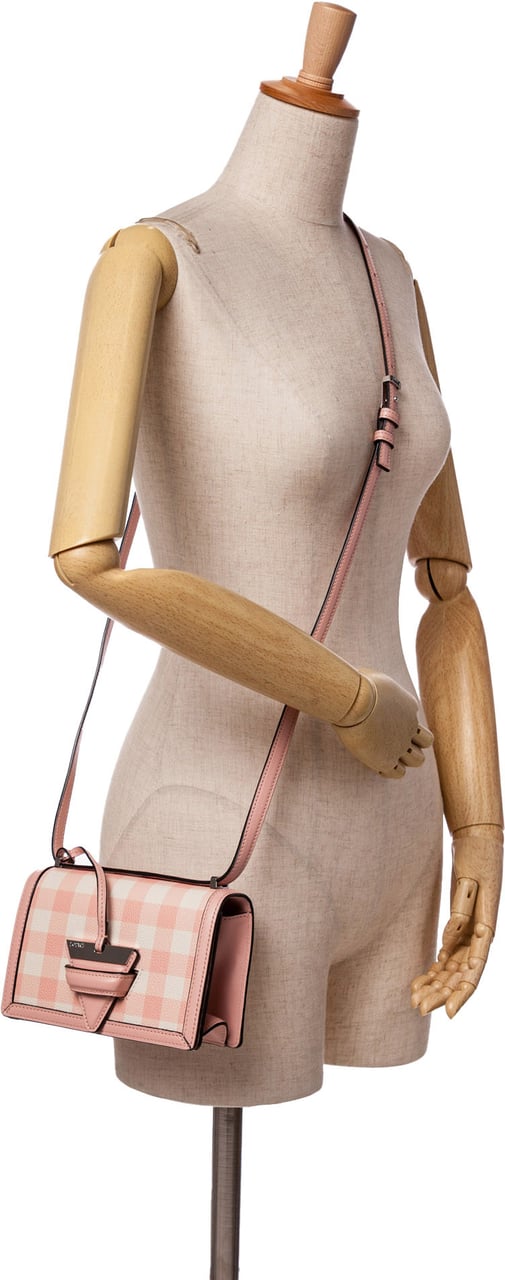 Loewe Small Leather Gingham Barcelona Crossbody Roze
