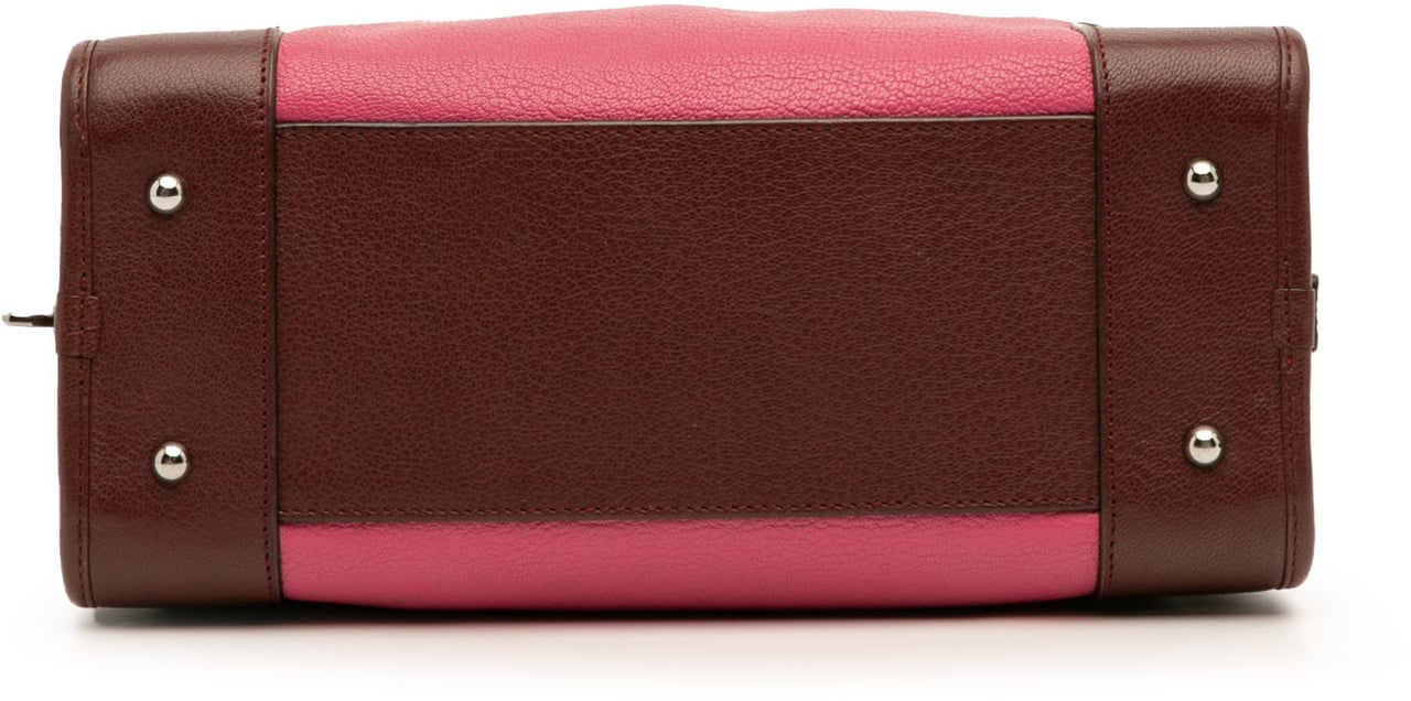 Loewe Tricolor Goatskin Amazona 28 Roze