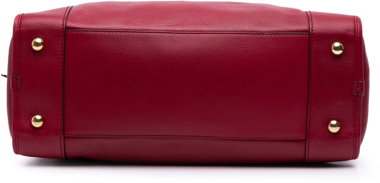 Loewe Special Edition Bicolor Leather Amazona 36 Rood