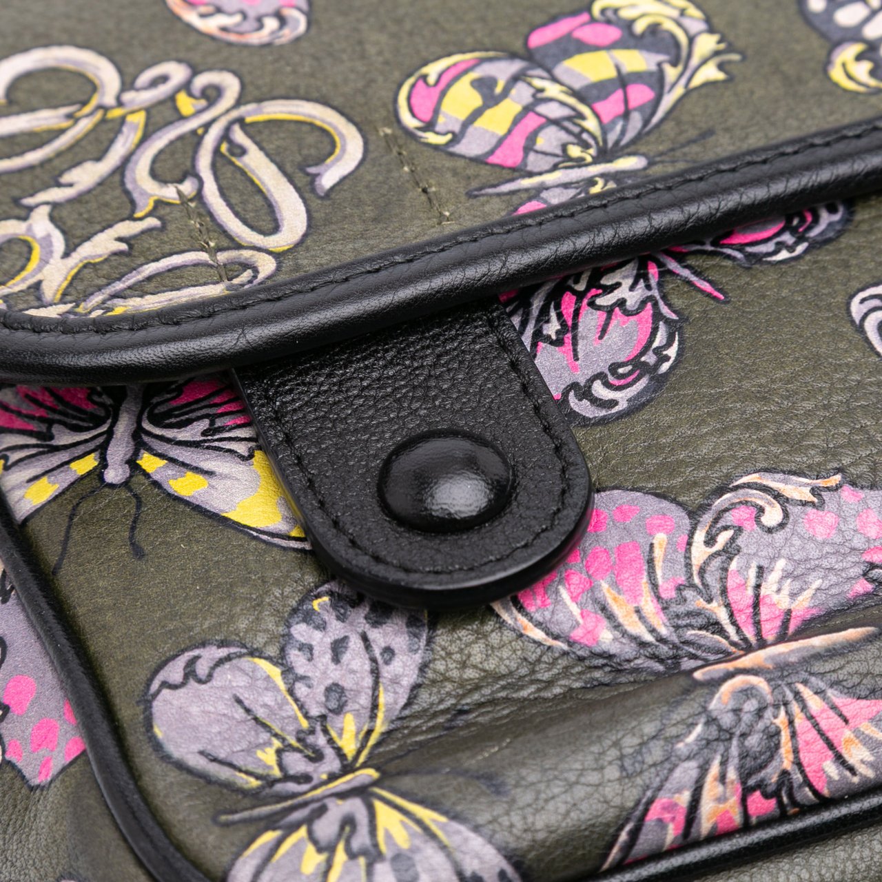Loewe Tales of Spain Butterfly Printed Leather Anagram Crossbody Groen
