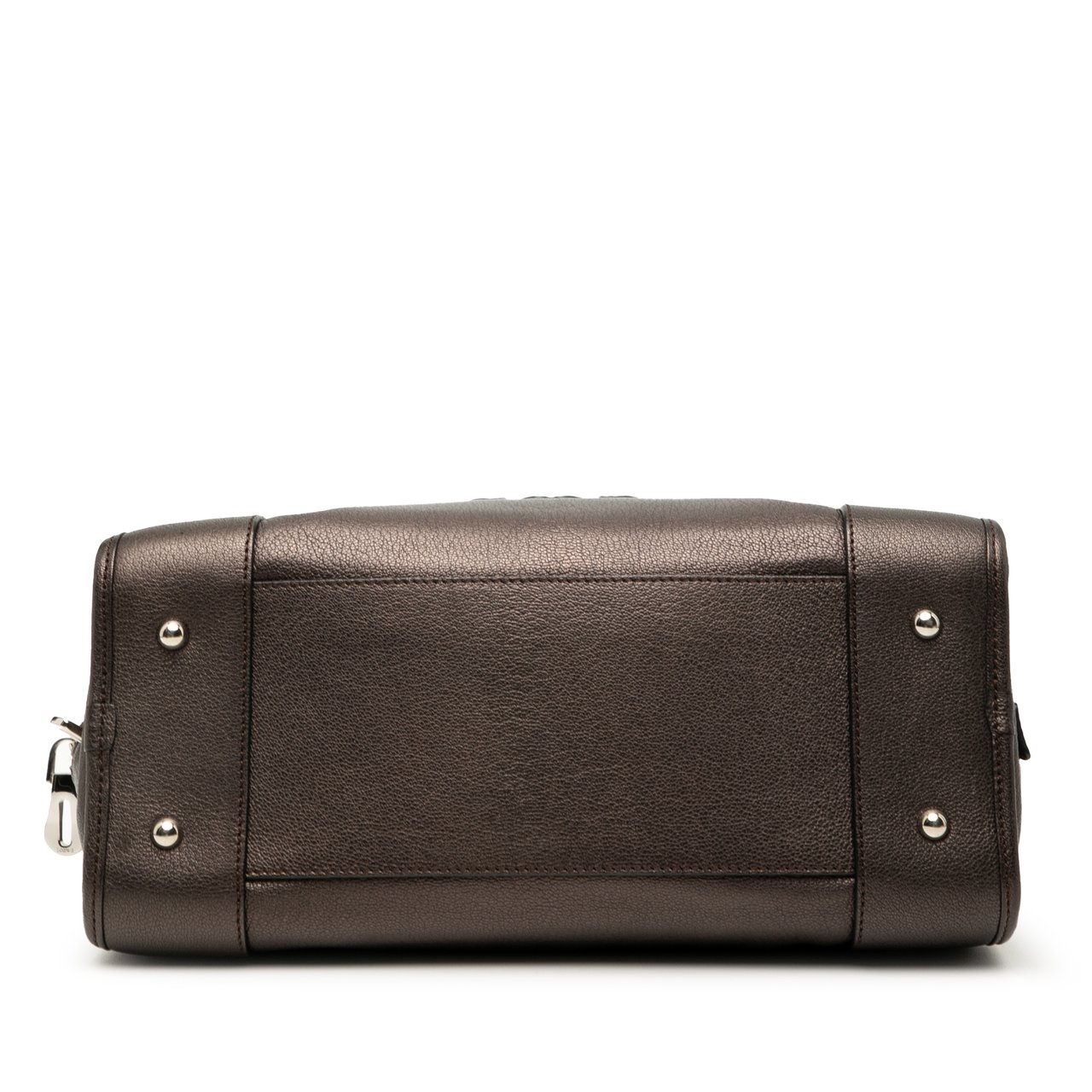 Loewe Metallic Goatskin Amazona 28 Bruin