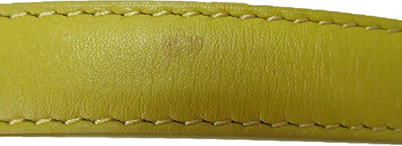 Loewe Small Leather Barcelona Crossbody Geel