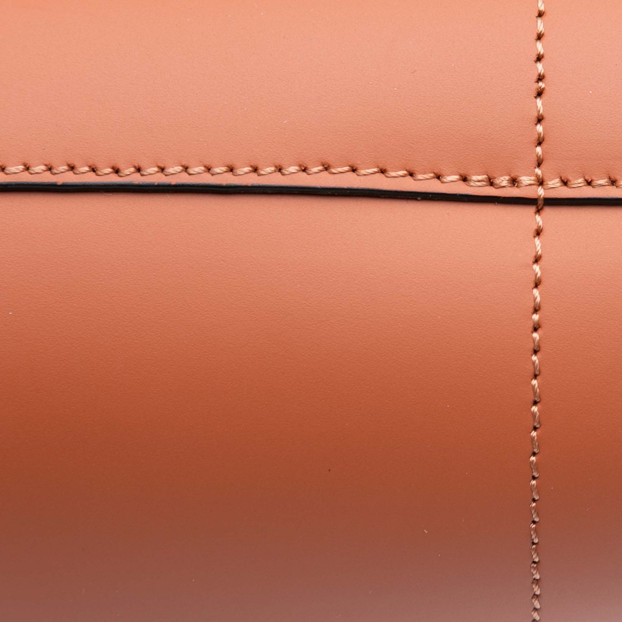 Loewe Leather Ikebana Tote Bruin