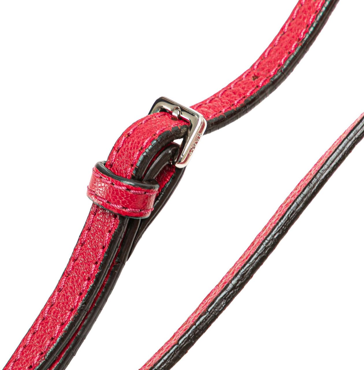 Loewe Leather Amazona 23 Roze