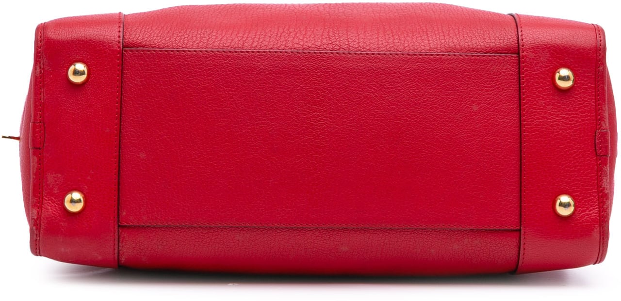 Loewe Leather Amazona 36 Rood