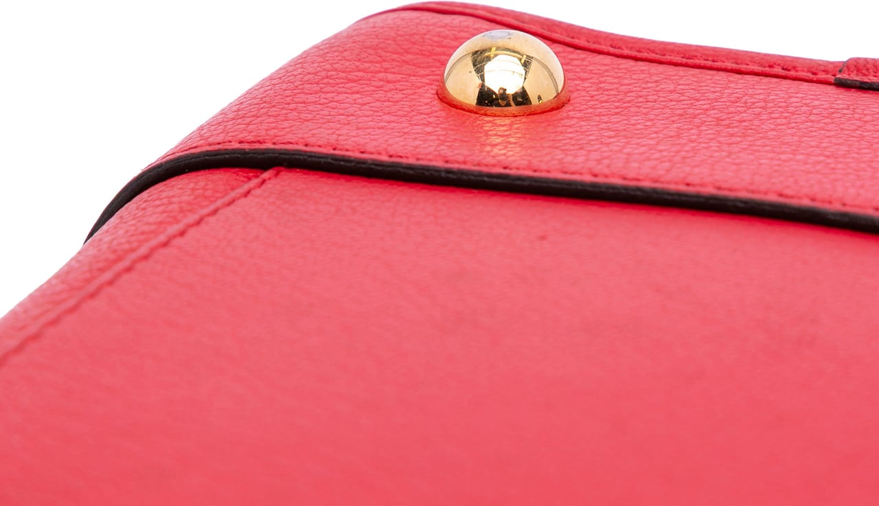 Loewe Leather Amazona 36 Rood