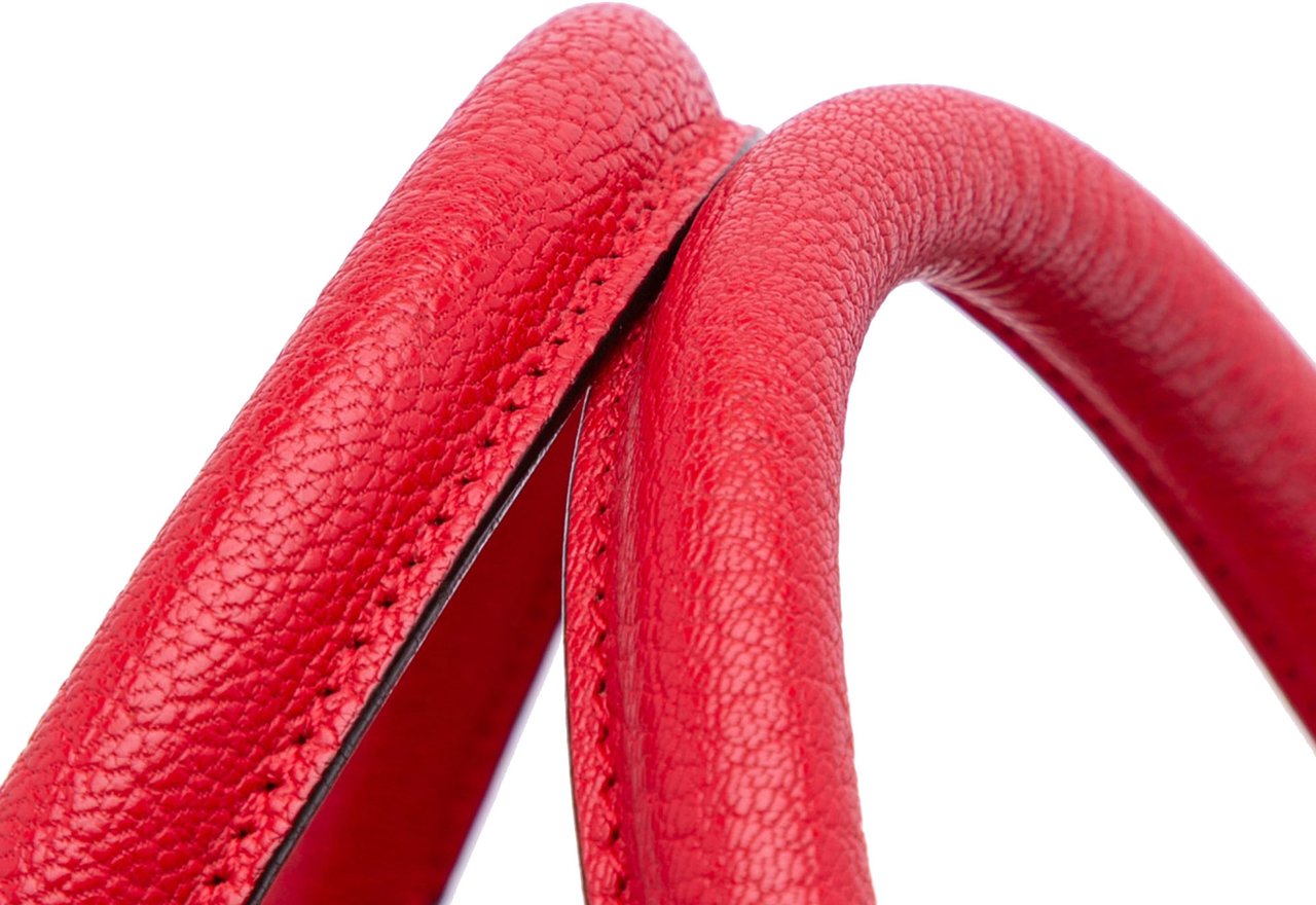 Loewe Leather Amazona 36 Rood
