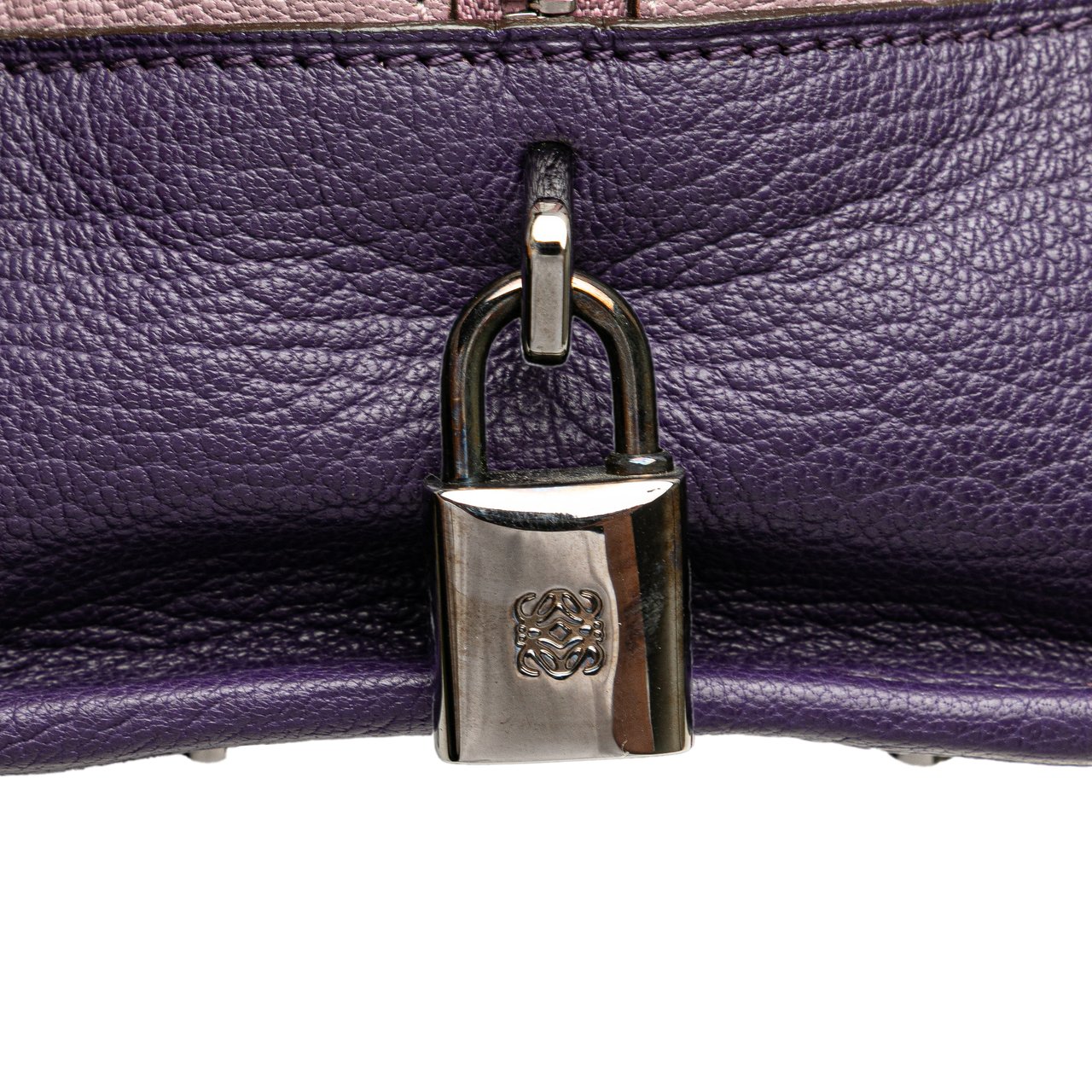Loewe Tricolor Goatskin Amazona 28 Paars