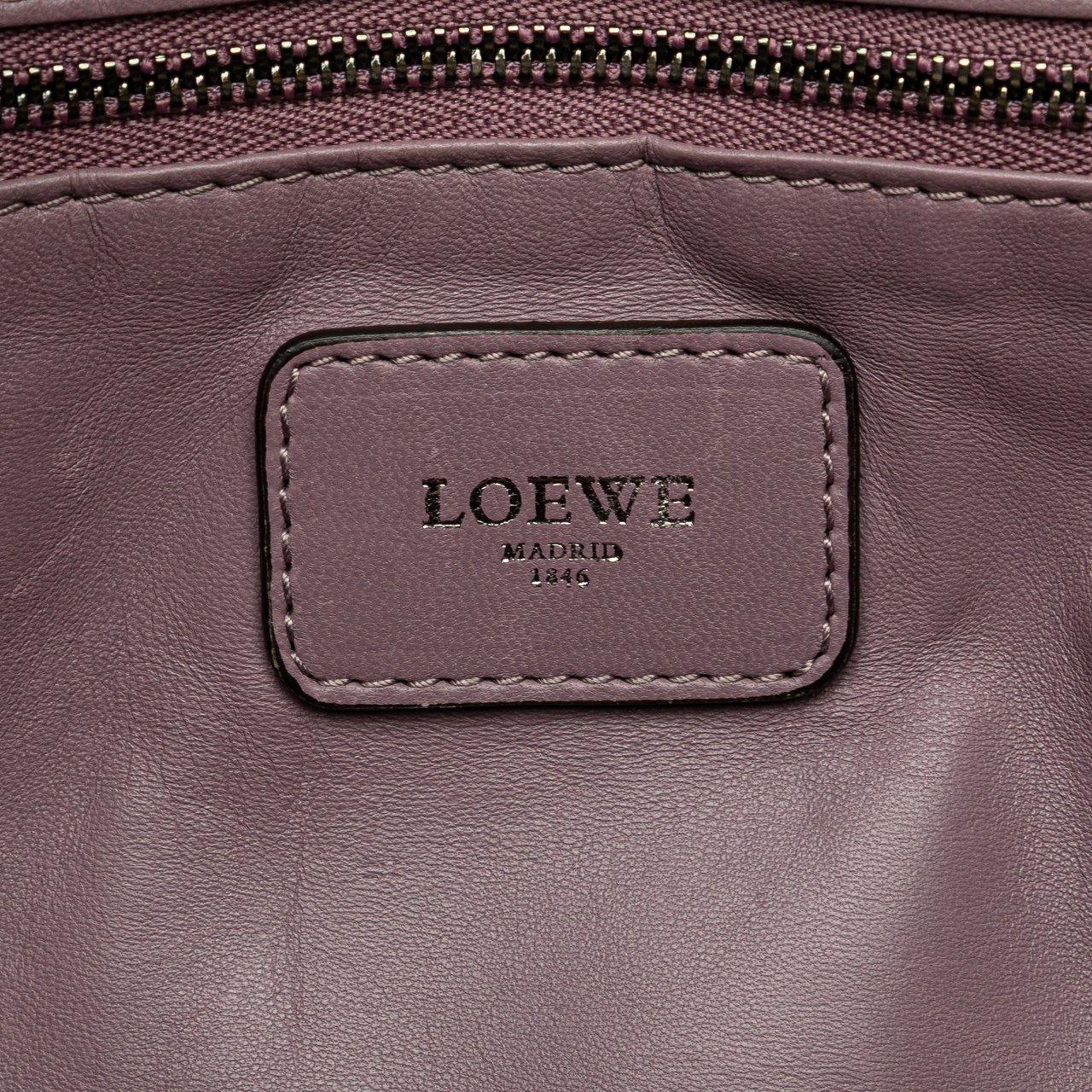 Loewe Tricolor Goatskin Amazona 28 Paars