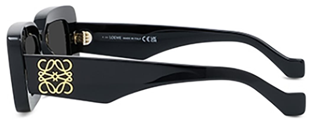 Loewe Loewe LW40101I Zwart
