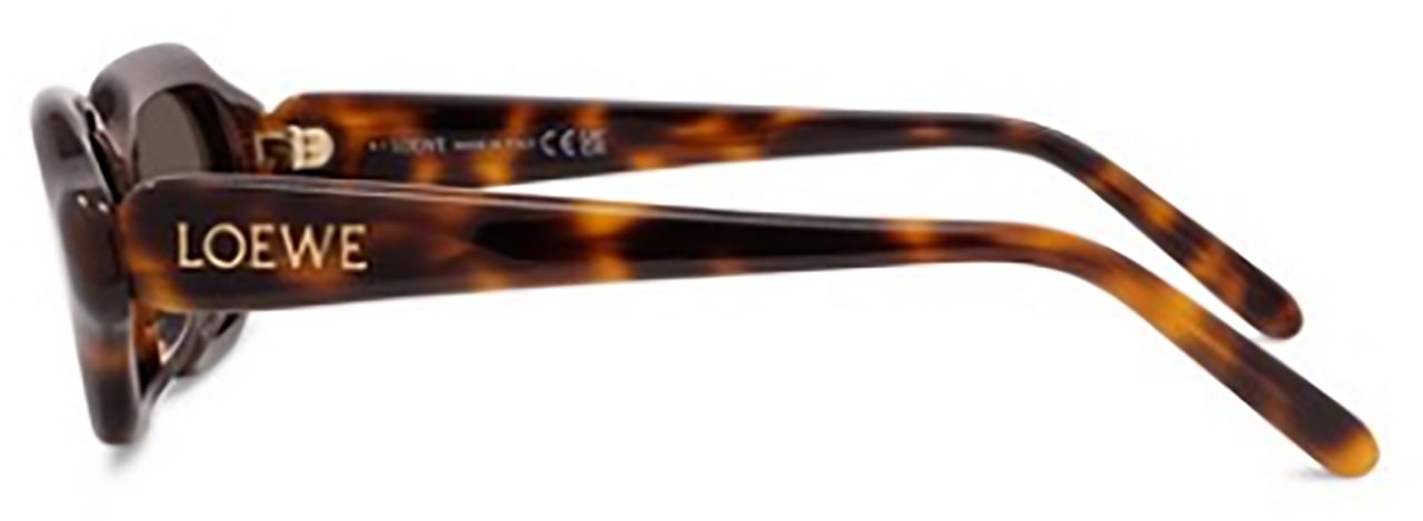 Loewe Loewe LW40157U Bruin