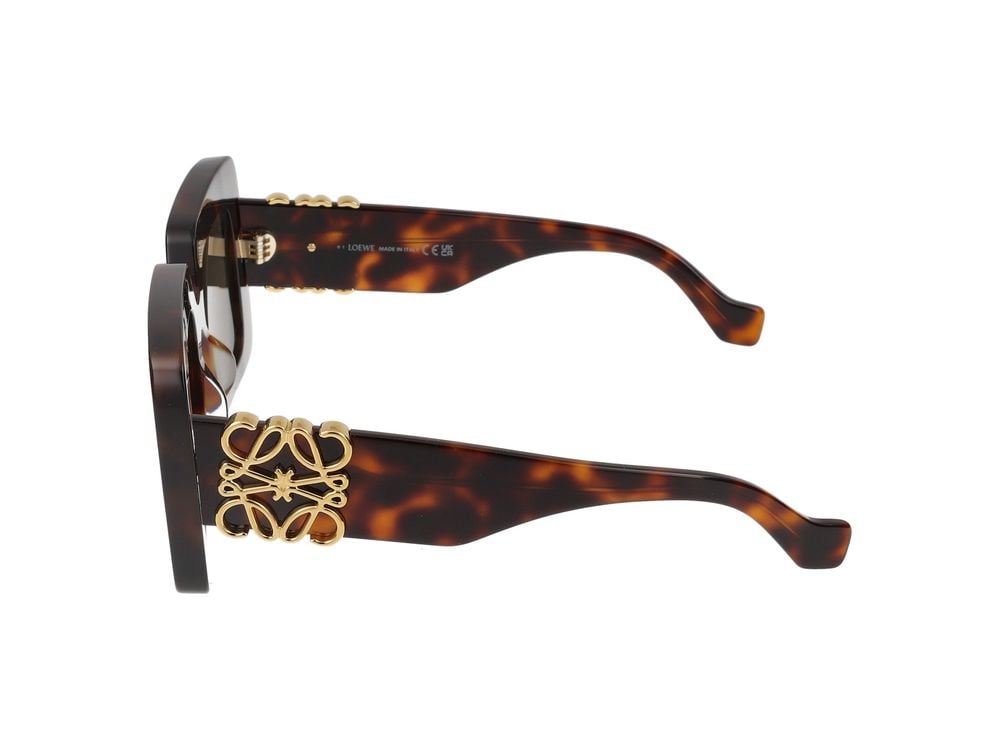 Loewe Oversized Tortoiseshell Sunglasses with Gold Emblem Bruin