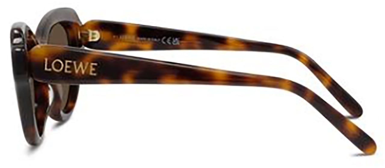 Loewe Loewe LW40178I Bruin