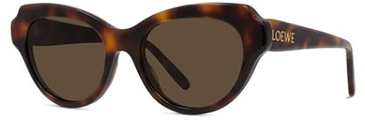 Loewe Loewe LW40178I Bruin