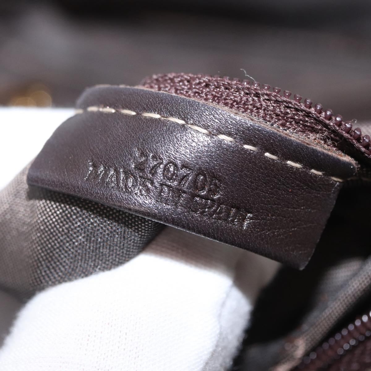 Loewe Loewe Amazona NM Bag gold leather Goud