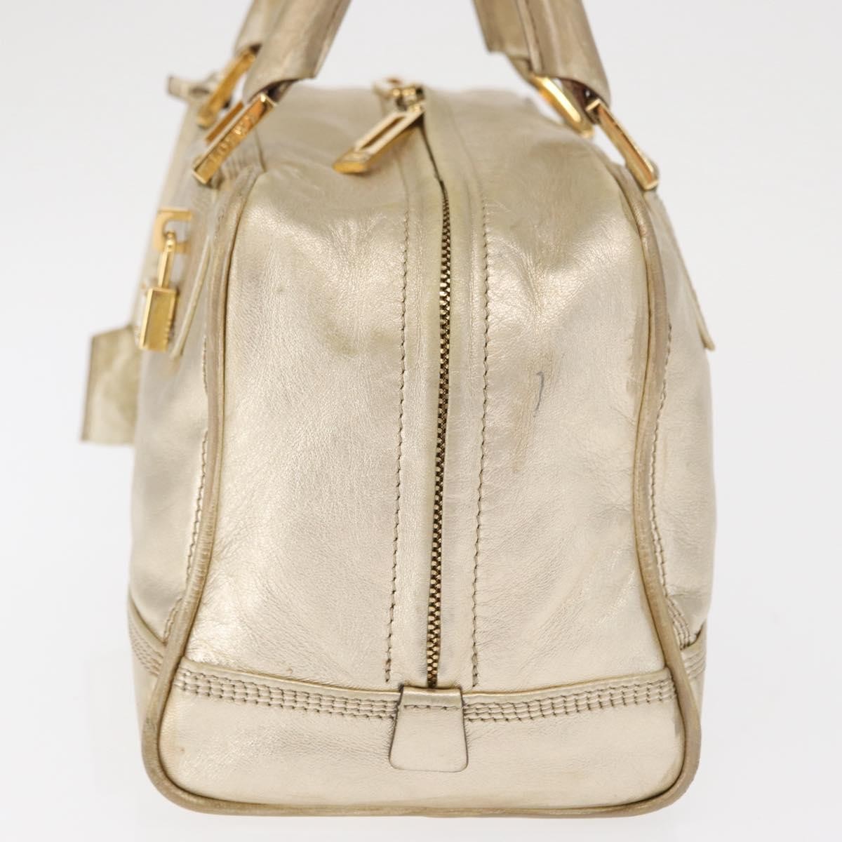 Loewe Loewe Amazona NM Bag gold leather Goud