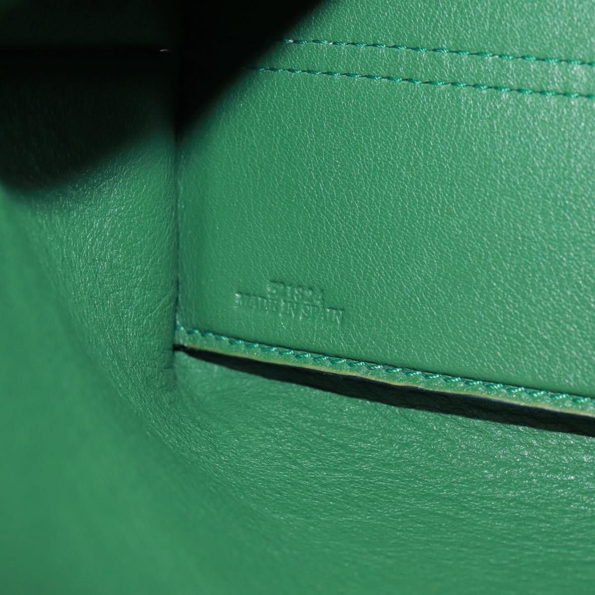 Loewe Loewe Avenue Crossbody Leather Groen